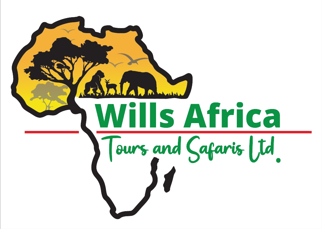 Wills Africa Tours and Safaris